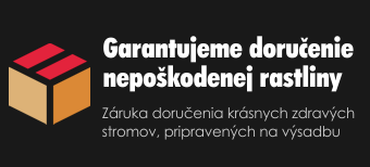 garancia-dorucenia