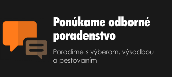 odborne poradenstvo