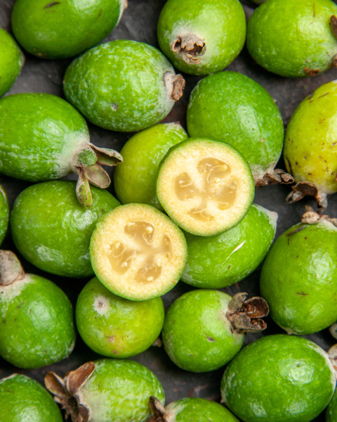 Guava ananásová (Acca Sellowiana Feijoa) Guava ananásová (Acca Sellowiana Feijoa)