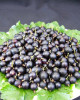 Kríženec ríbezle a egreša (Ribes nidigrolaria) ´JOSTA´