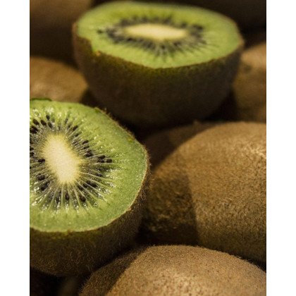 Aktinídia pravá (Actinidia deliciosa) ´ SOLO ´ Aktinídia pravá (Actinidia deliciosa) ´ SOLO ´