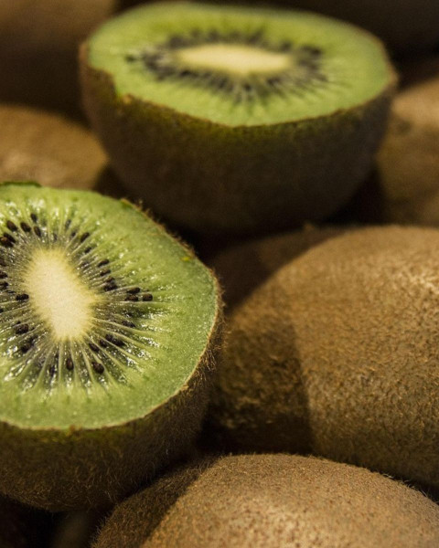 Aktinídia pravá (Actinidia deliciosa) ´ SOLO ´ Aktinídia pravá (Actinidia deliciosa) ´ SOLO ´
